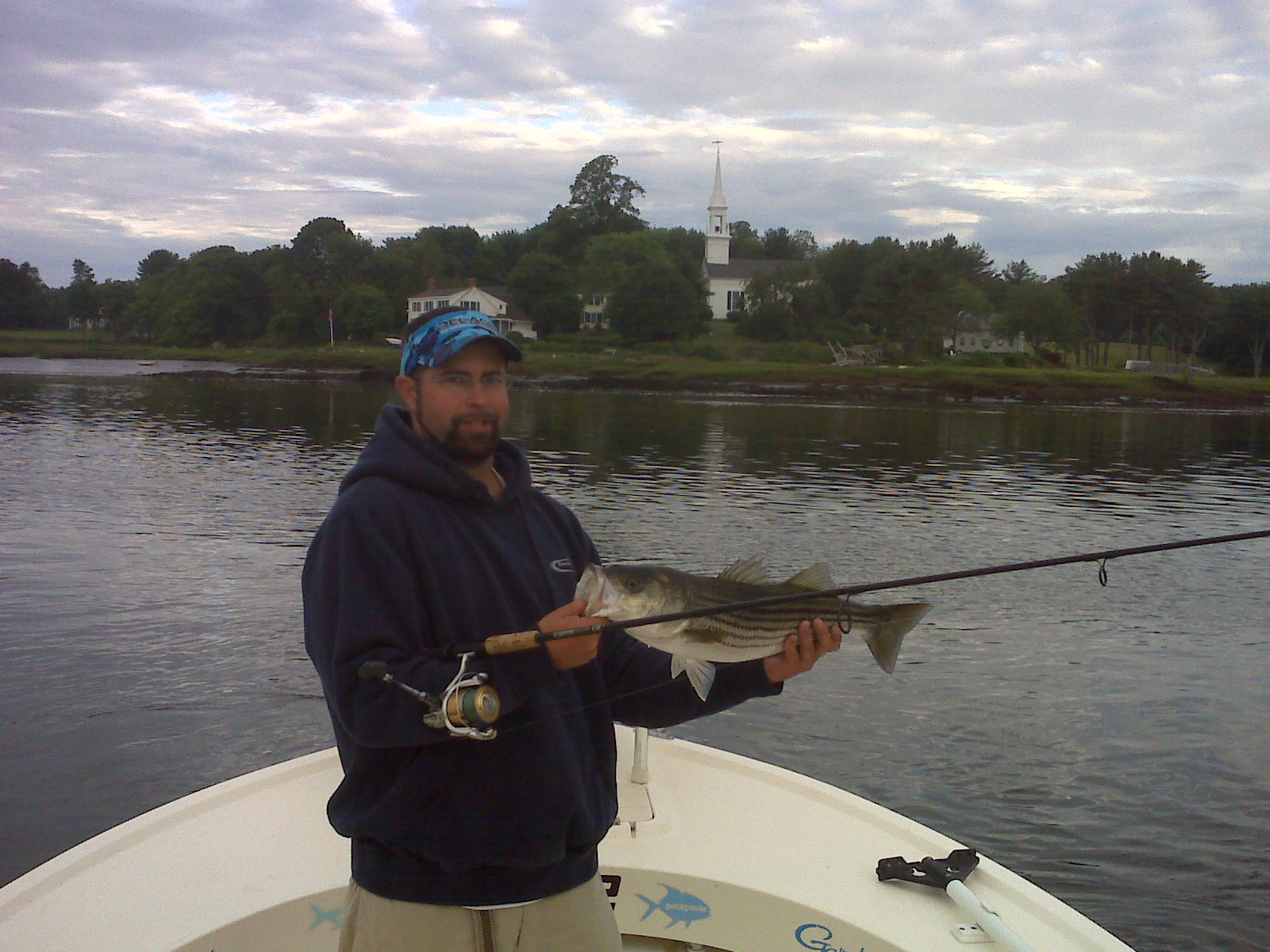Maine Striper Fishing Charters & Reports Hotline 2076910745 Maine