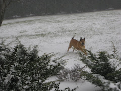 Christmas Snow!