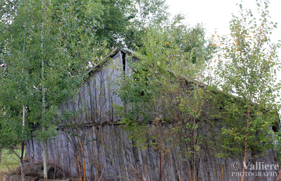 stuck-shed.jpg
