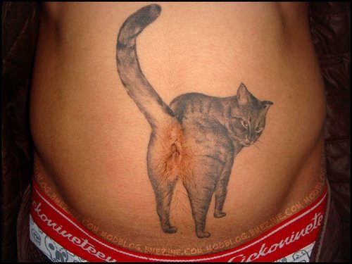 Funny cat tattoo