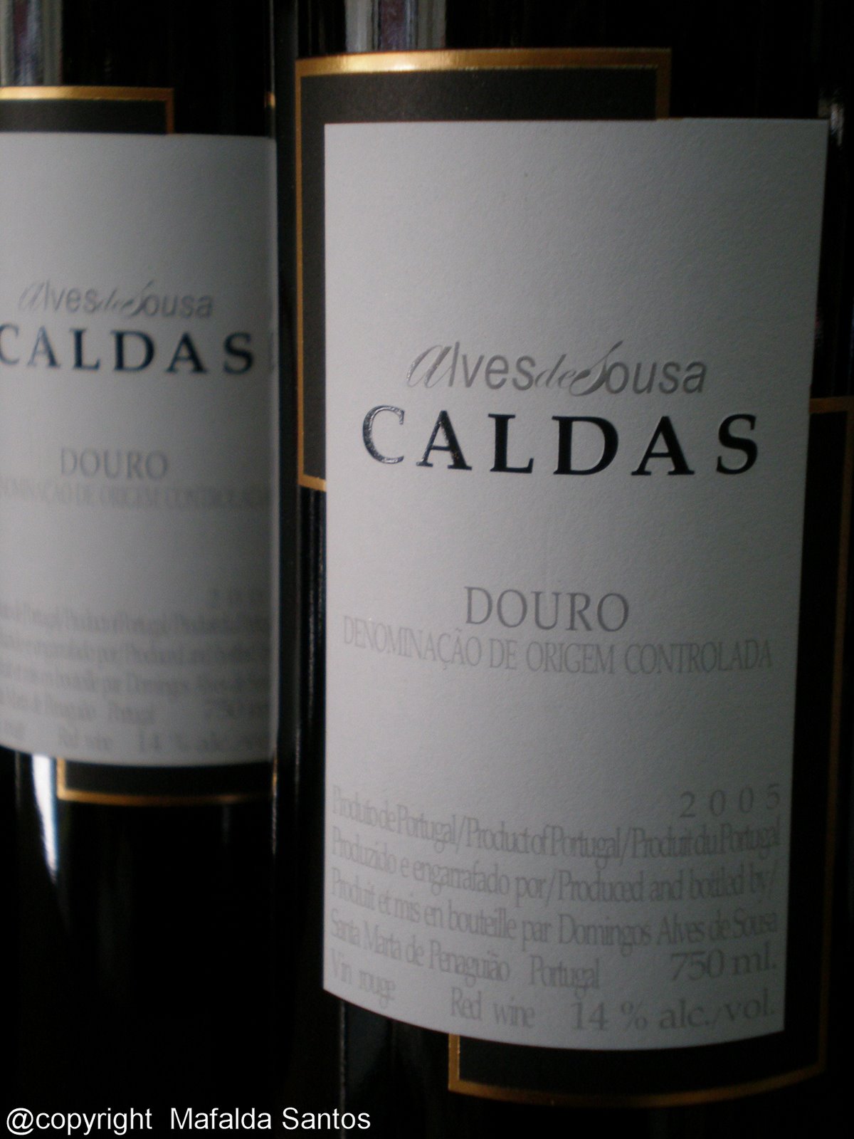 [caldas+05+copy.jpg]