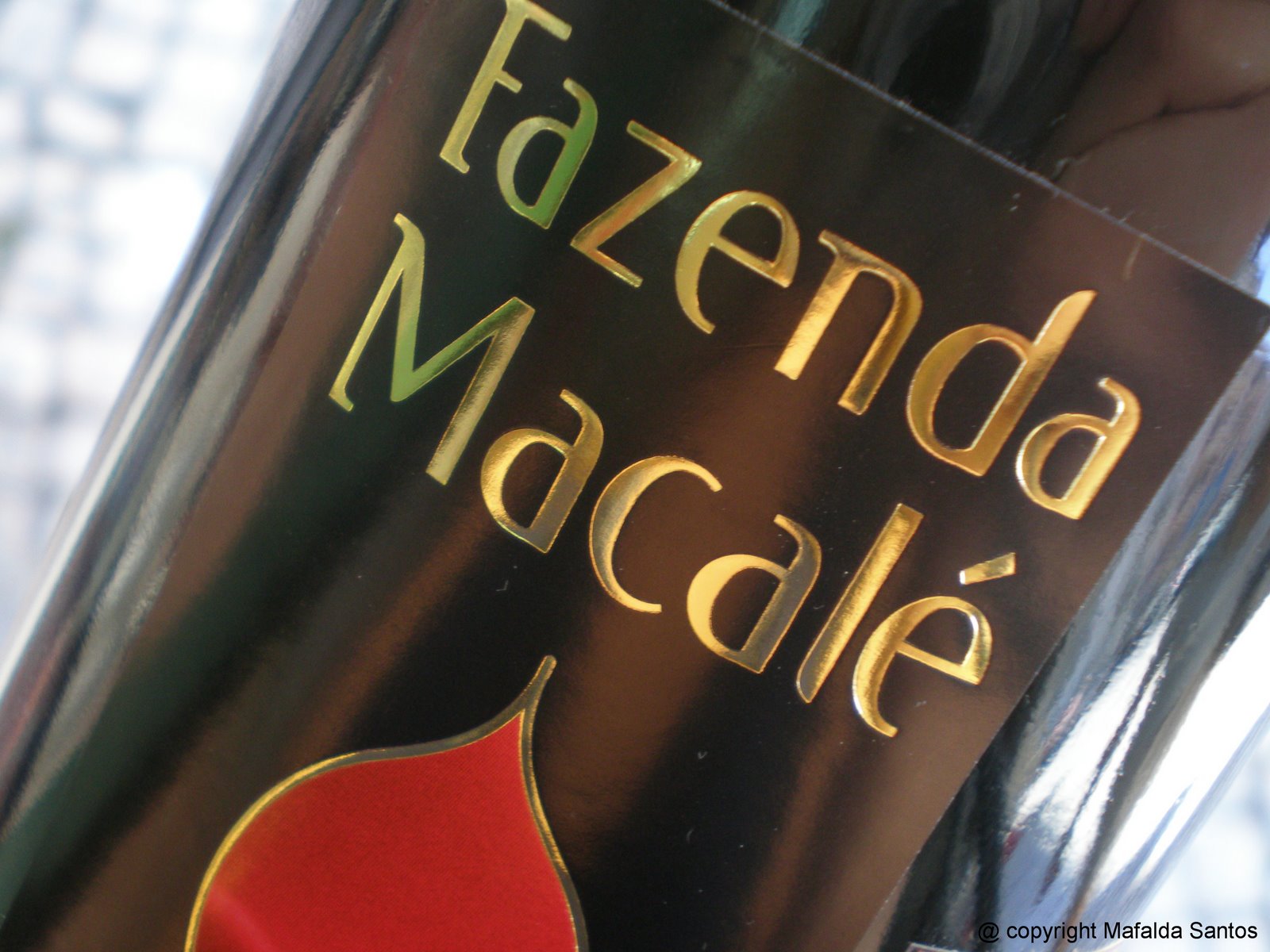 [macale+03+copy.jpg]