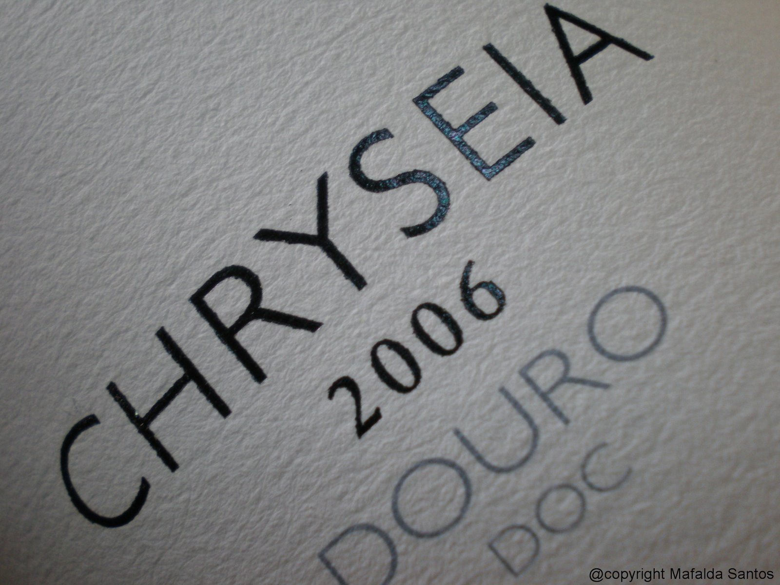 [chryseia+06+copy.jpg]