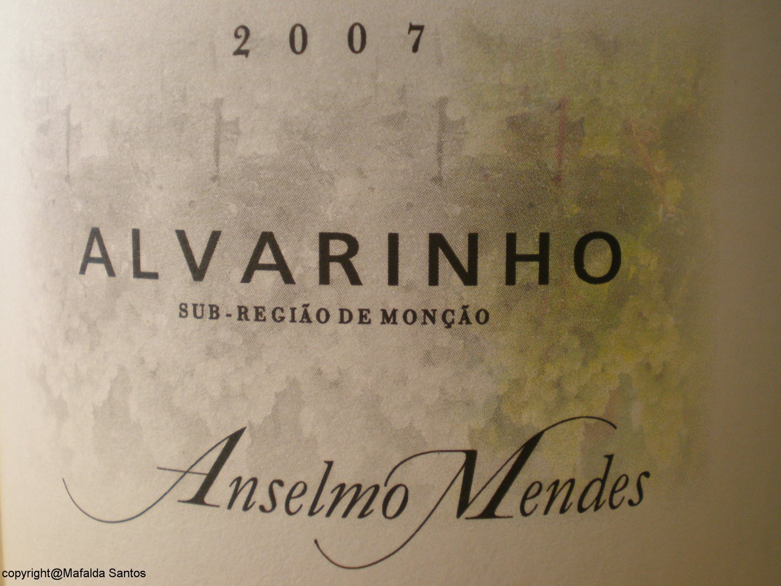 [anselmo+curtimenta+07+copy.jpg]