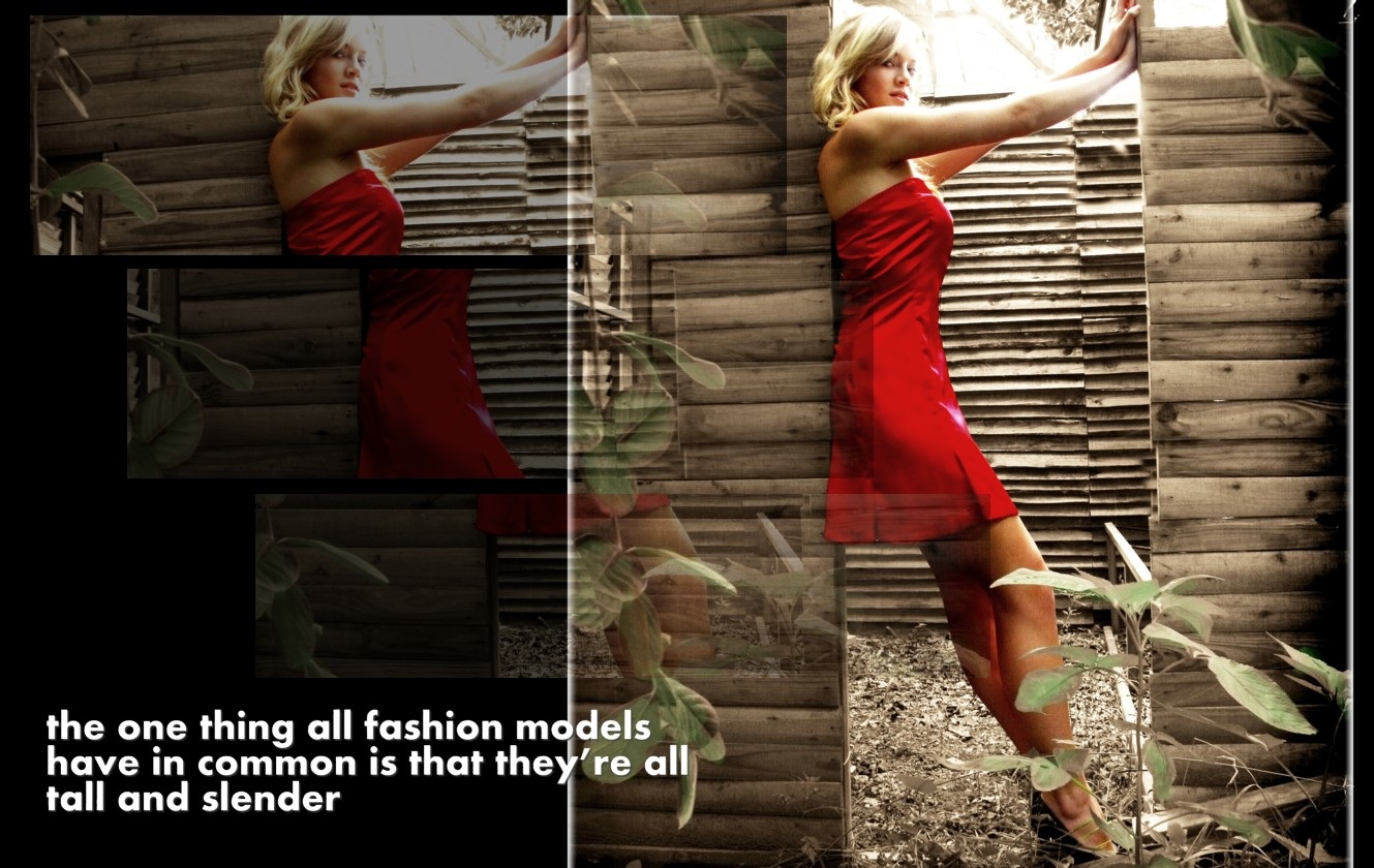 MODELLING 101 Part 1 Modelling genres The Fashion Model gem