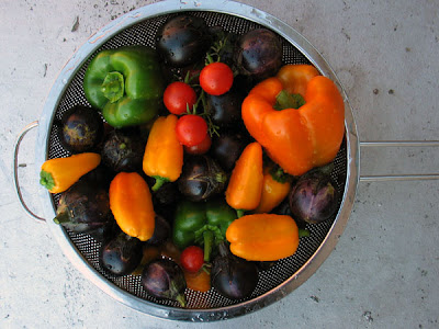 Rooftop Garden Vegetable Harvest