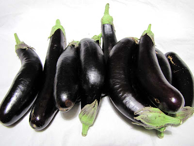 Rooftop Garden Vegetable Harvest