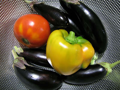 Rooftop Garden Vegetable Harvest