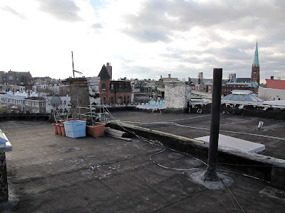 Bucolic Bushwick Rooftop Container Vegetable Garden