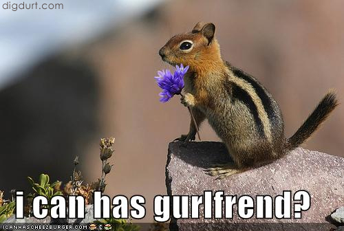 [funny-pictures-squirrel-girlfriend1.jpg]
