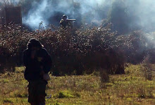 Lucha en Territorio Mapuche