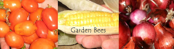 Garden Bees