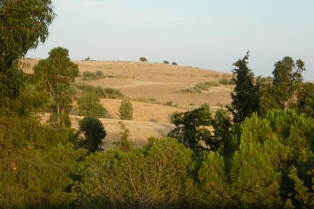 [Alentejo+ao+fim+do+dia.JPG]