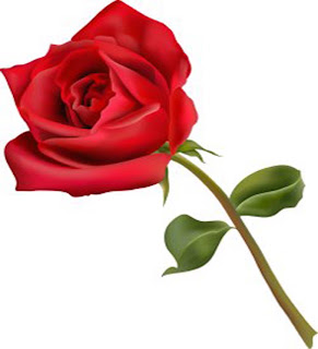 rose+flower.jpg