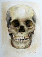 The Human Skull ....Watercolor and description