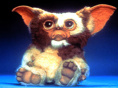 gizmo_l.jpg