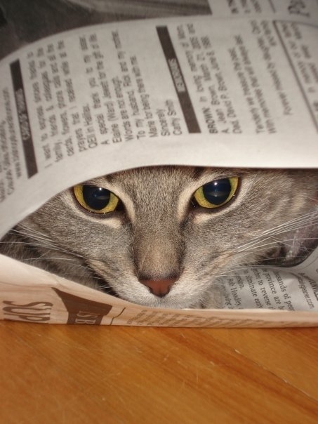 [Abby+reading+the+paper.jpg]