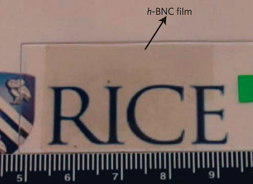[BCNwRice.jpg]