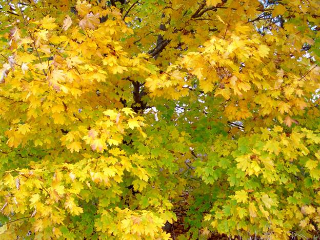 [securedownload+(1).jpg]