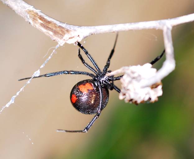 [securedownload.jpg]