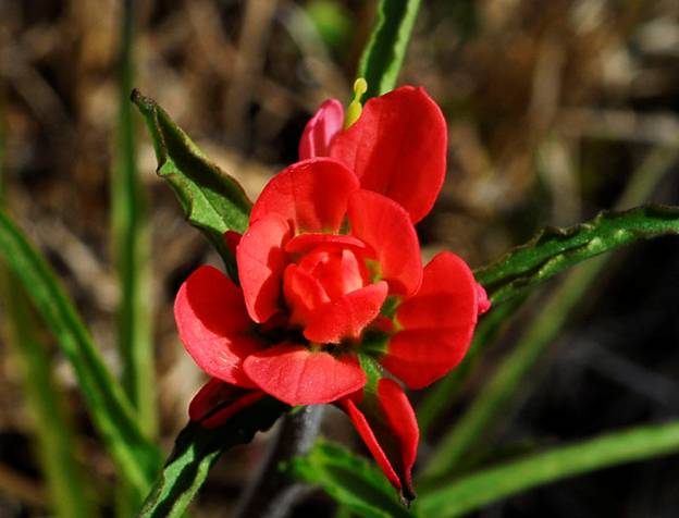 [securedownload.jpg]