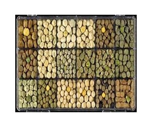 [pea-collection-lg.jpg]