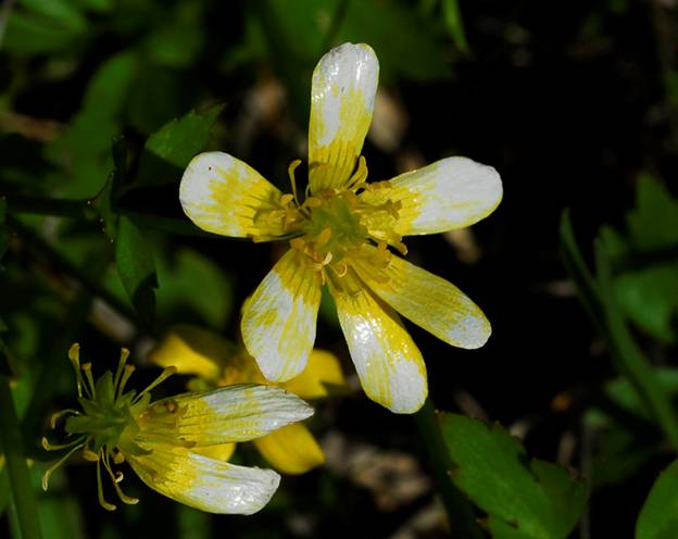 [securedownload.jpg]