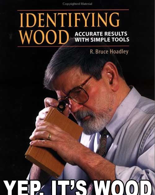 MY BROG Yep, its wood