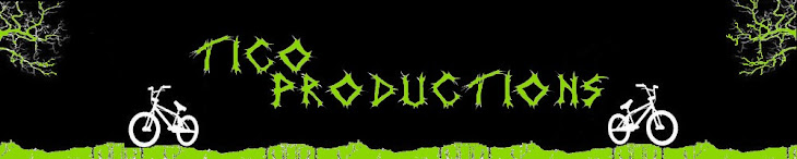 TICO PRODUCTIONS VIEJO