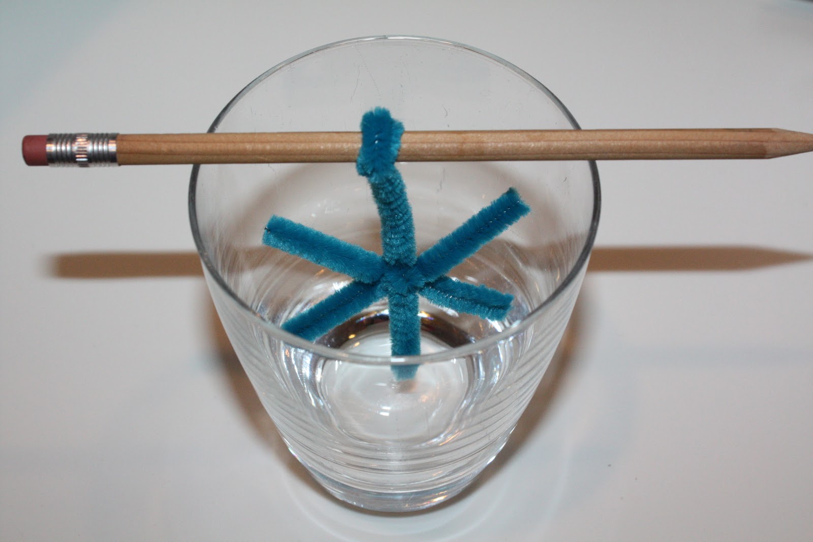Sweet and Simple Things: Borax Crystals