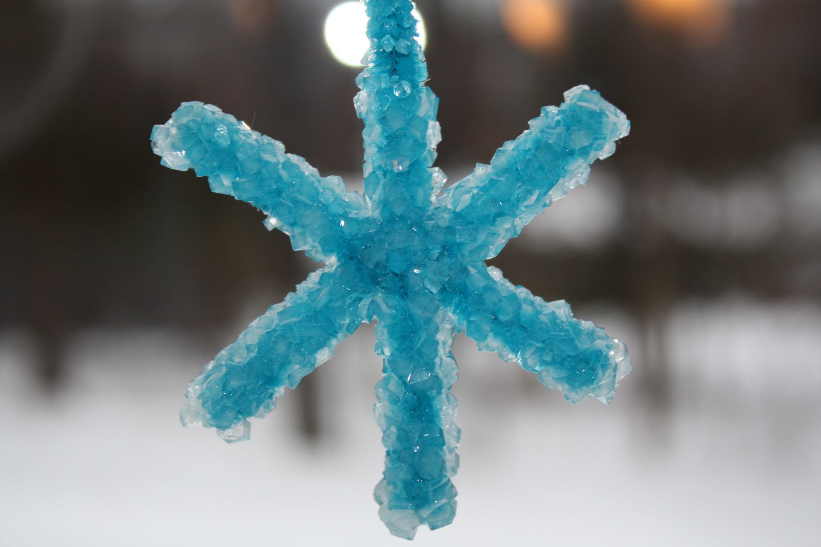 Sweet and Simple Things: Borax Crystals