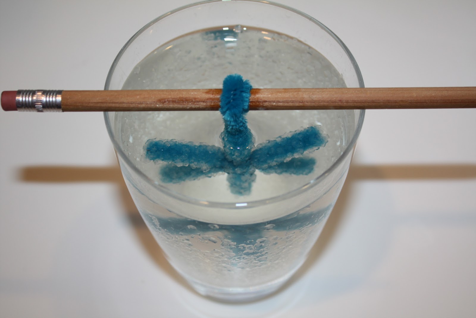 Sweet and Simple Things: Borax Crystals