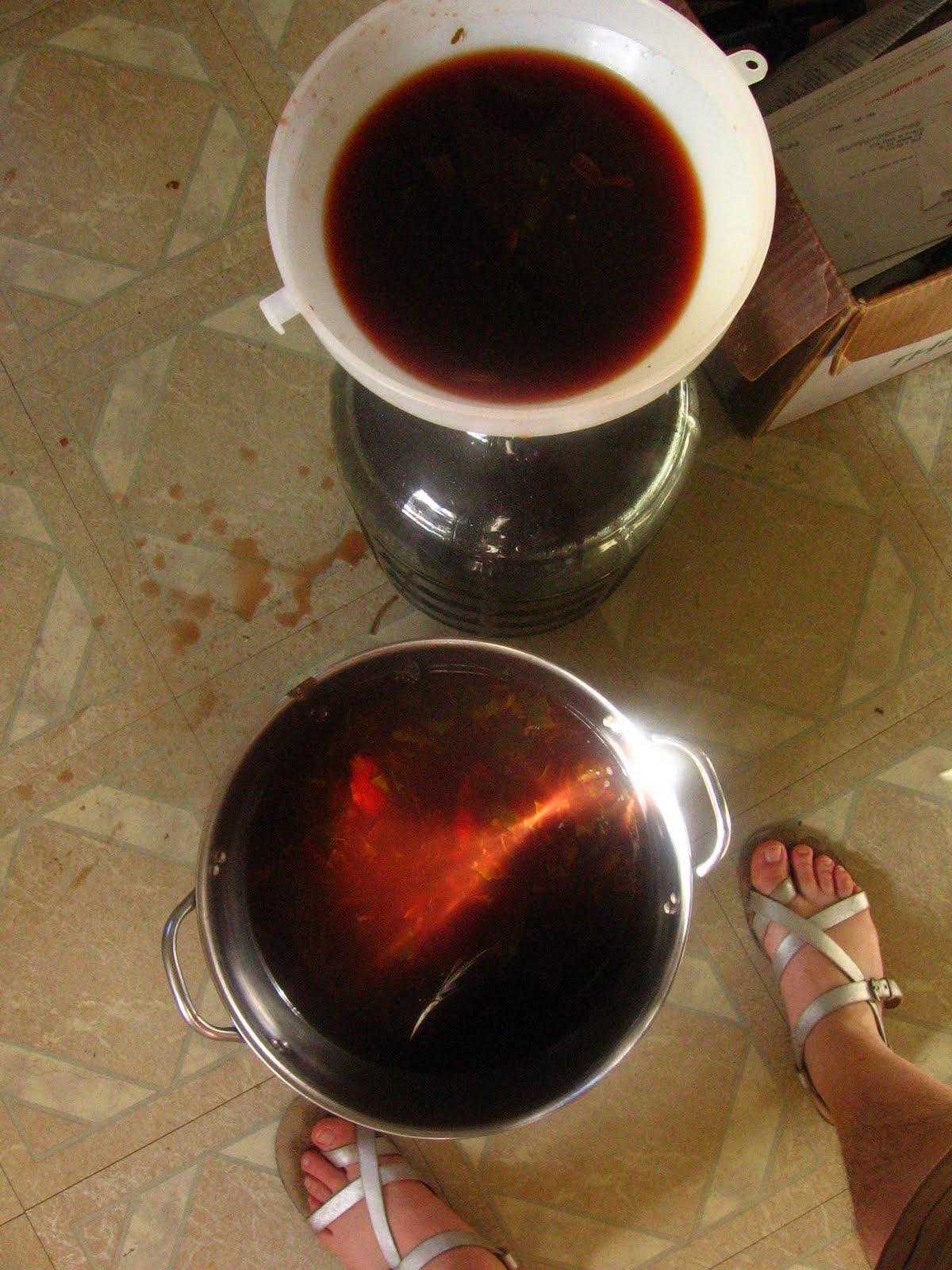 clean plate club SorrelMolassesJamaica Beer