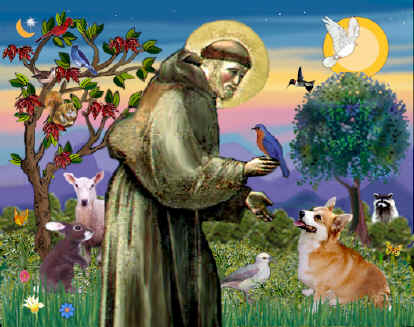 HEALING GRACE: ST. FRANCIS OF ASSISI Patron Saint of Animals and the  Environment