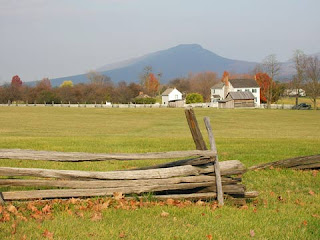 bushong farm