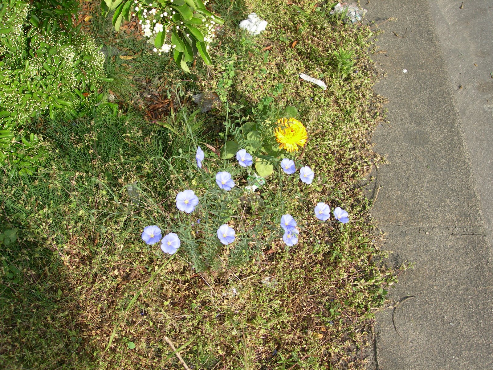 [DSCN4881.JPG]