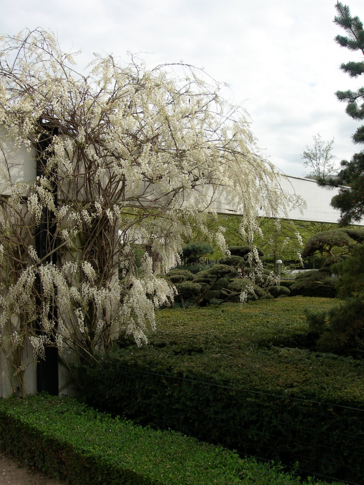[DSCN4596.JPG]