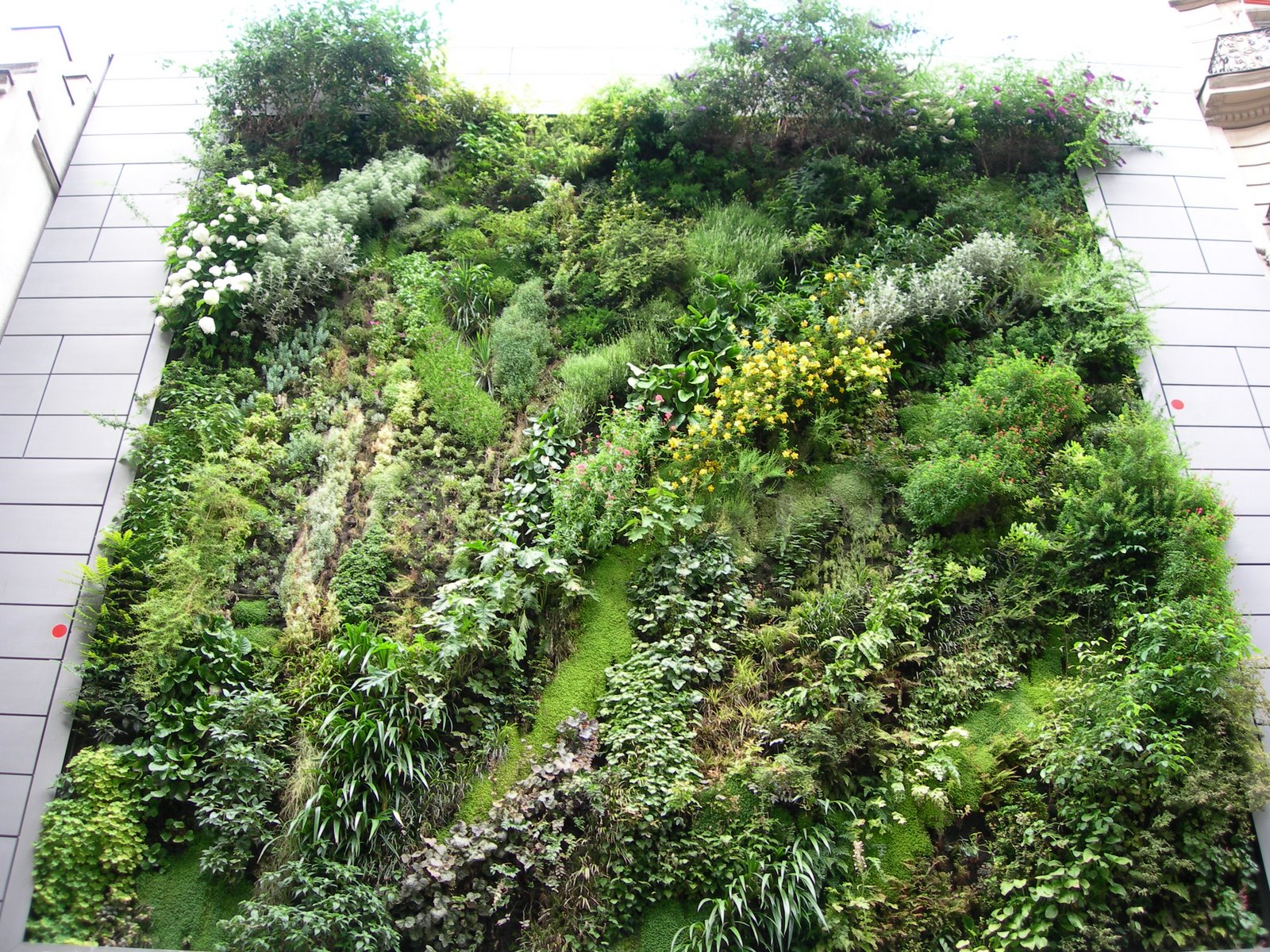 [DSCN6199.JPG]