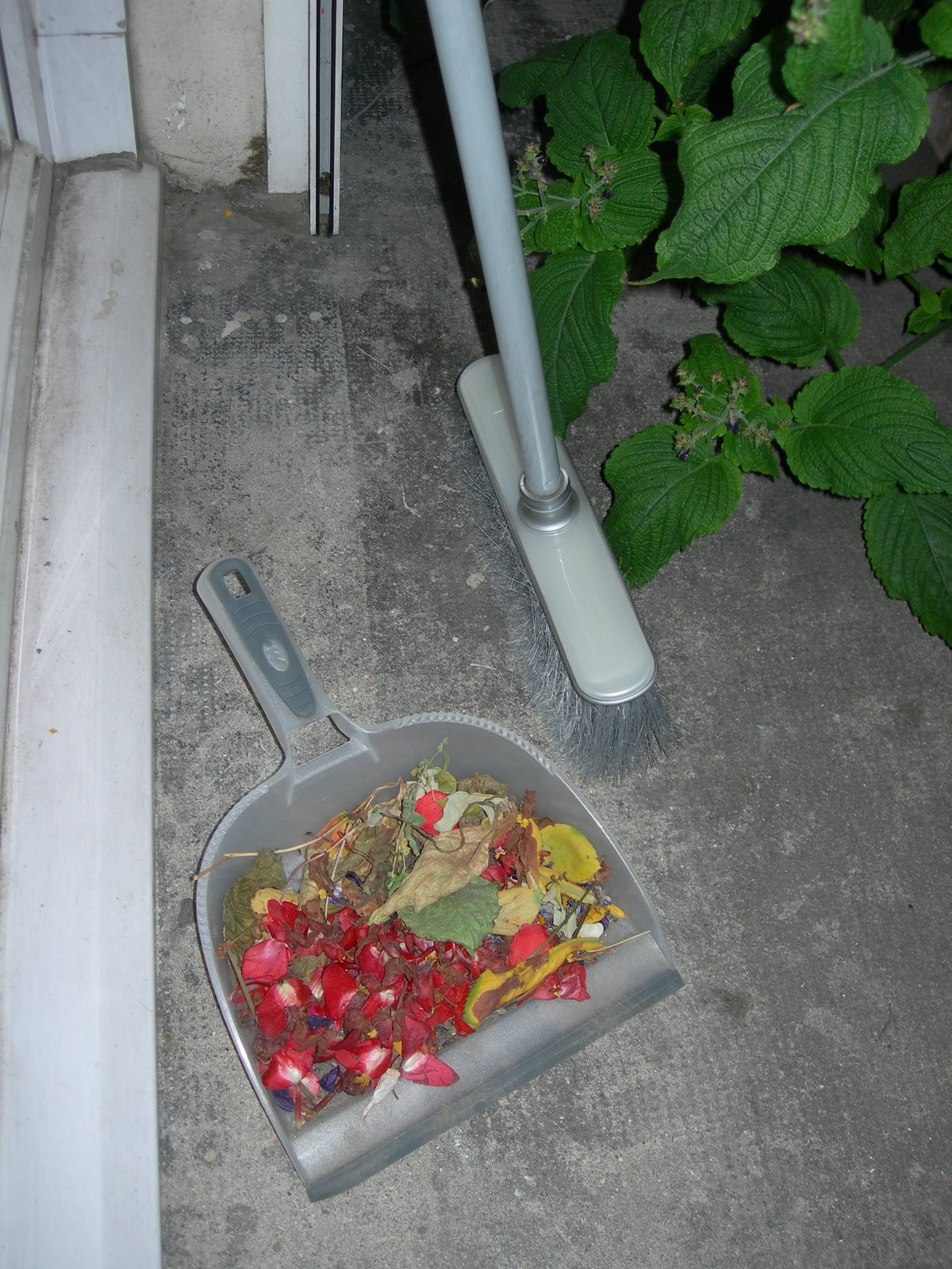 [DSCN6684.JPG]