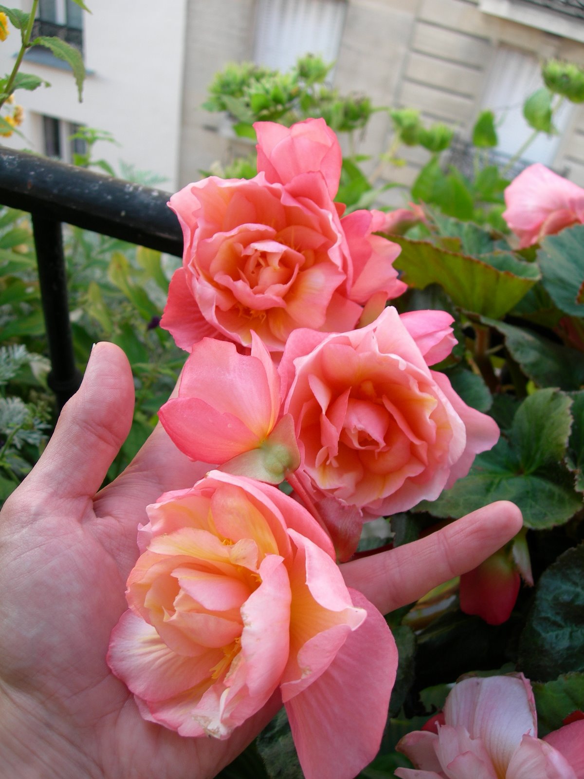[DSCN7357.JPG]