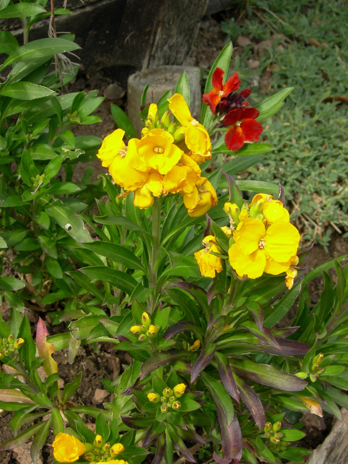 [DSCN4012.JPG]