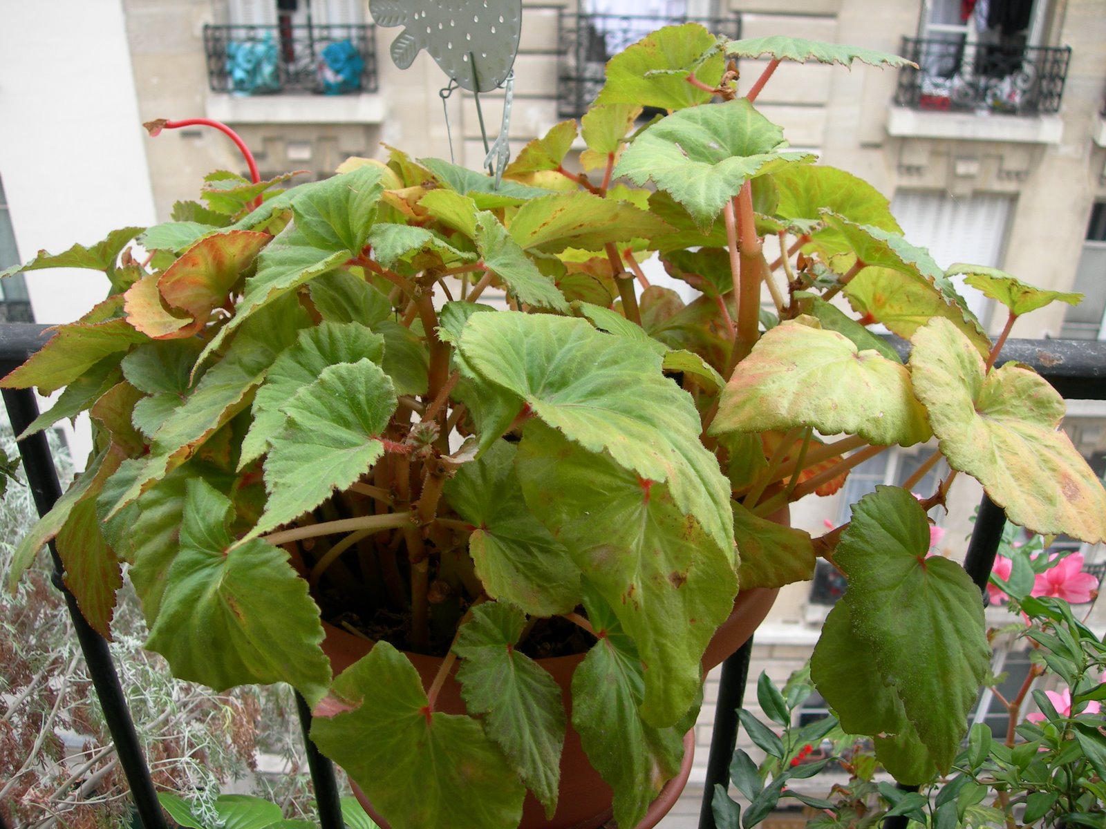 [DSCN9419.JPG]