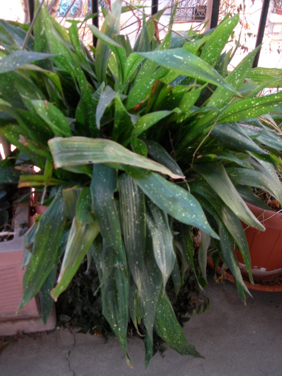[DSCN0549.JPG]
