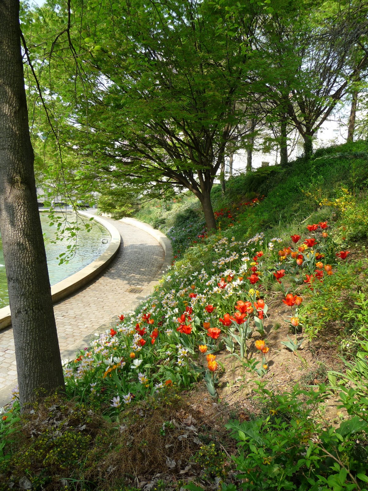 [P1010131.JPG]