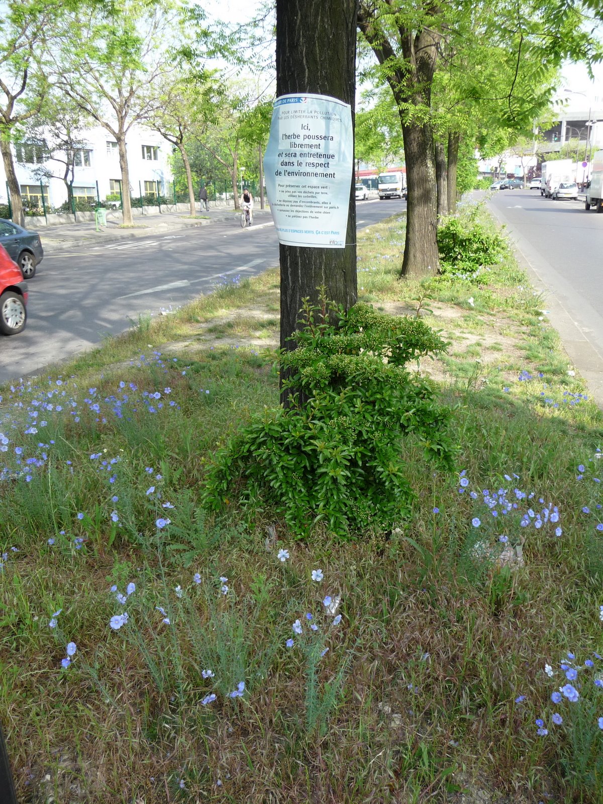 [P1010431.JPG]