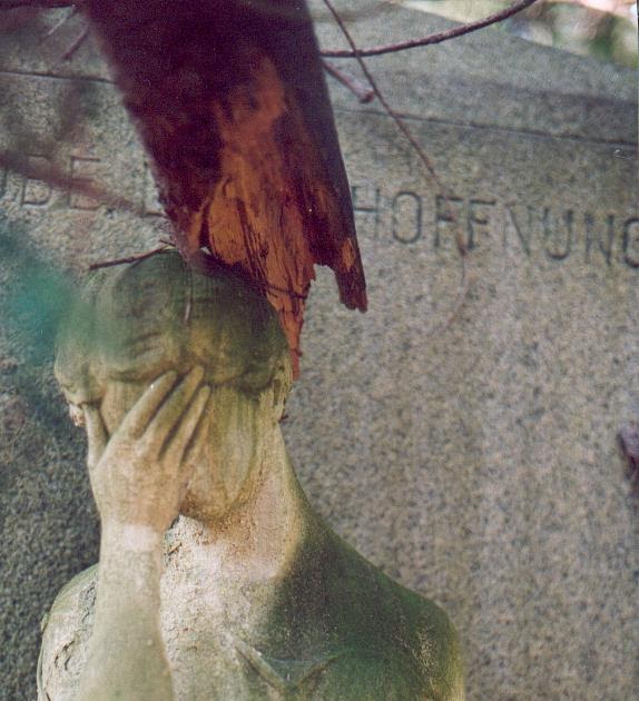 Im Gedenken An Florian Komm Trost Der Welt