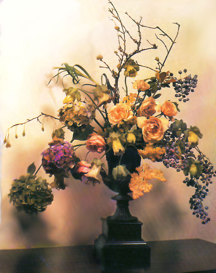 David's Diary: CONSTANCE SPRY; Part Two