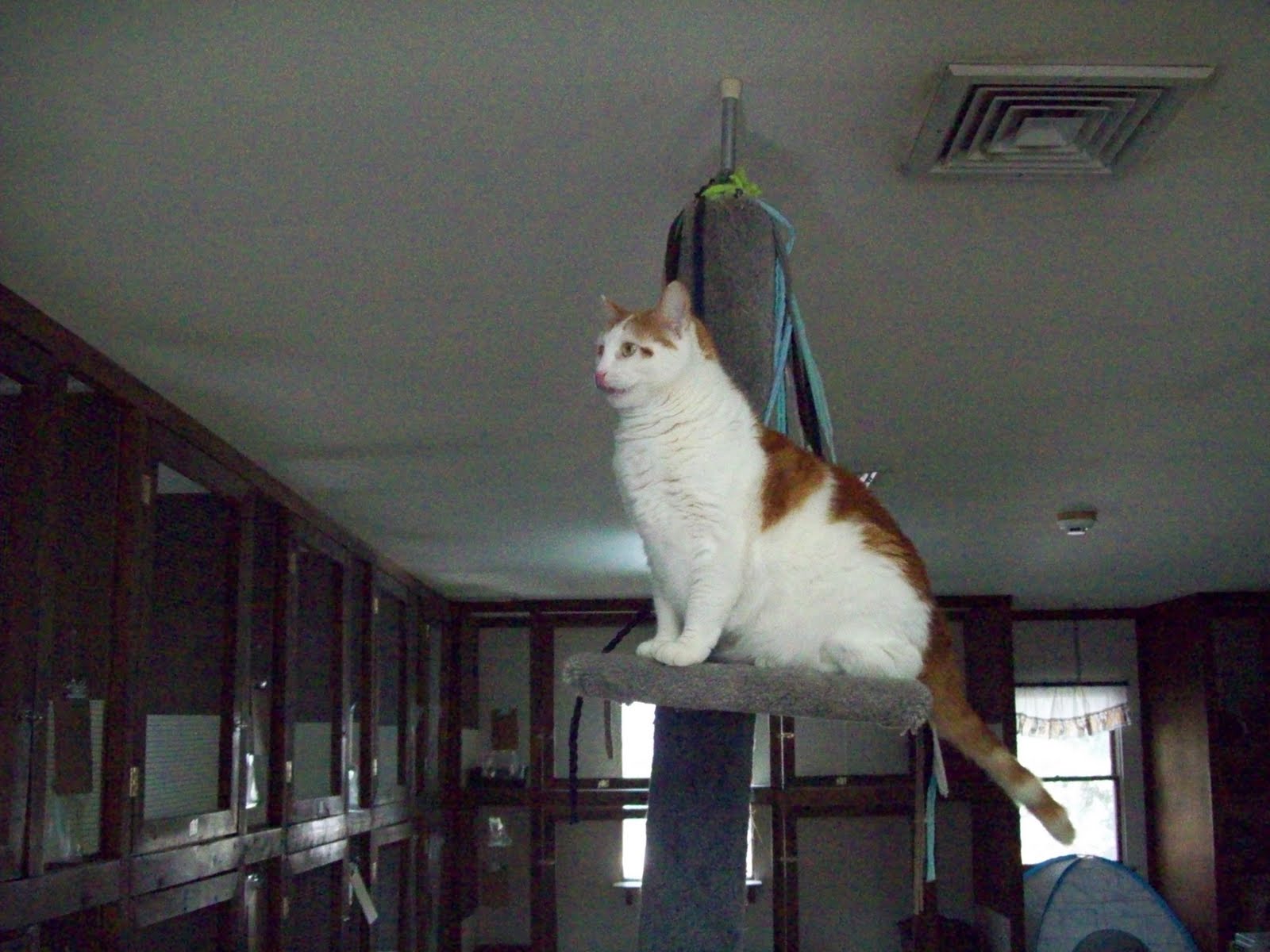 Best Friends Chadds Ford