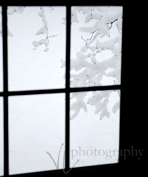 [snowywindow.jpg]