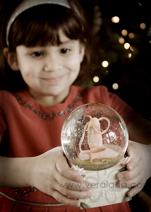 [thesnowglobe2.jpg]